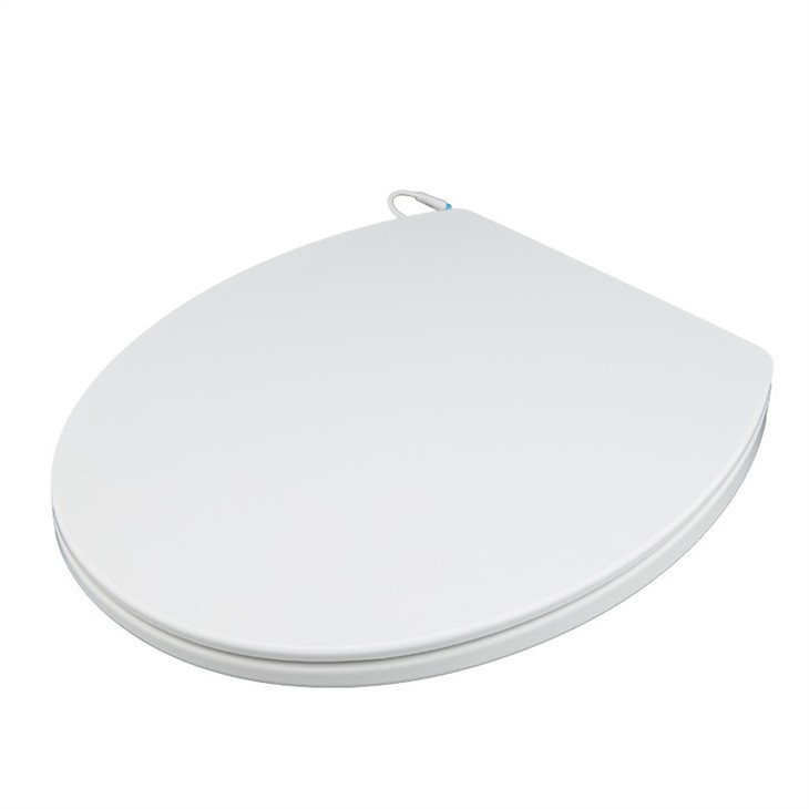 1 heated-toilet-seat