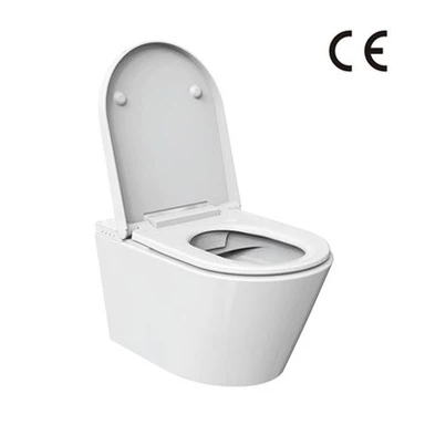 Bide bilan hashamatli hojatxona