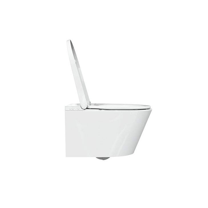 smart flush toilet